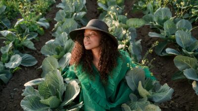 The Future of Celebrity Fashion Brands: Trends for 2026