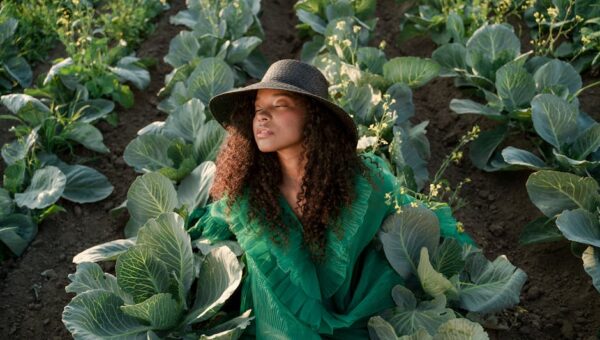 The Future of Celebrity Fashion Brands: Trends for 2026